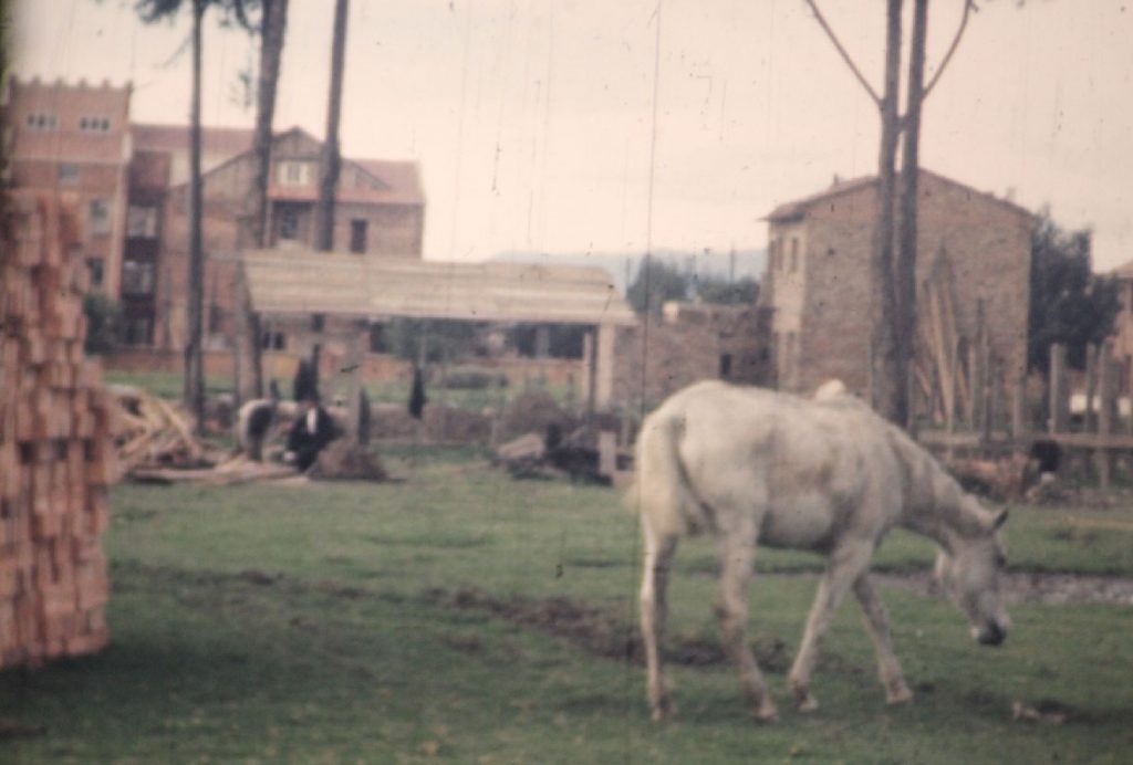 FOTOS ANTIGUAS - QUIENES SOMOS -04